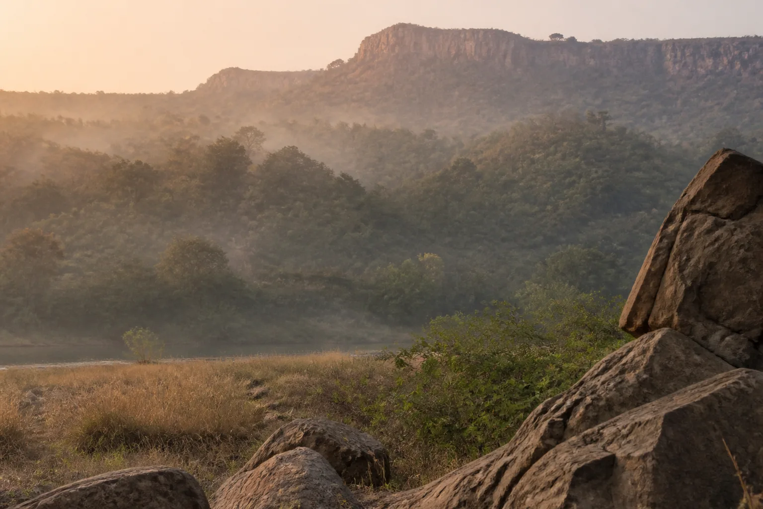 Misty wilderness landscape near Ranthambore at golden hour